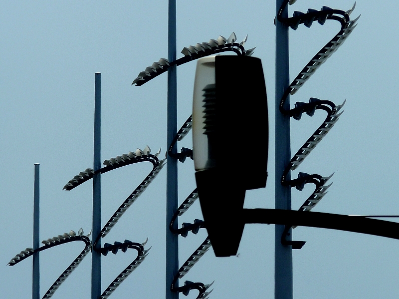 Metz / Un printemps Ying et Yang...