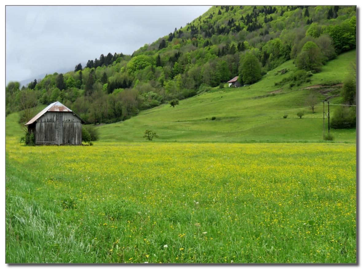 PAYSAGES DES BAUGES  SAVOIE 2021 