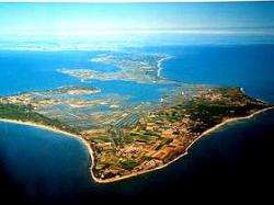 Ile de Ré :Suite de mon séjour sur l'ile - 3/3