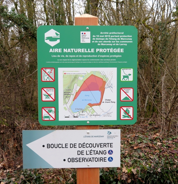 Une belle balade aux bords du lac de Marcenay, à la recherche de champignons d'hiver...
