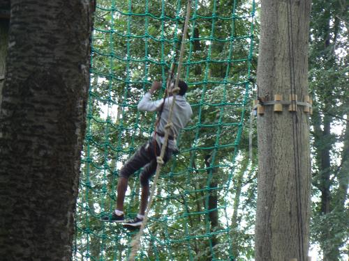 Une journée "accrobranche" enrichissante et inoubliable!
