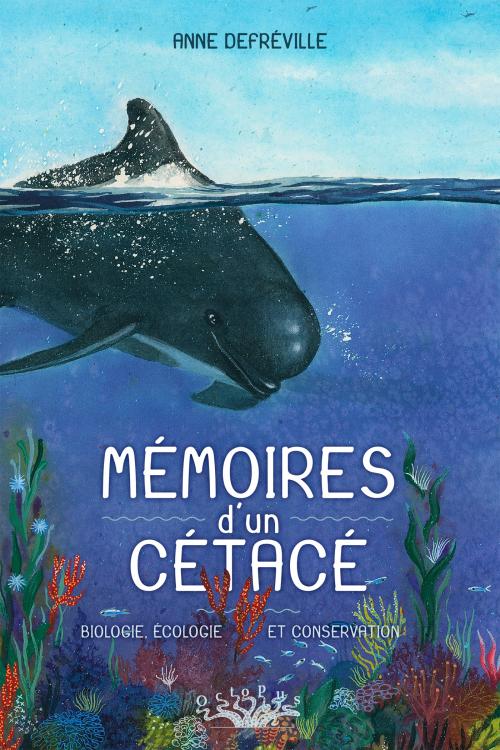 Mémoires d'un cétacé - Defreville