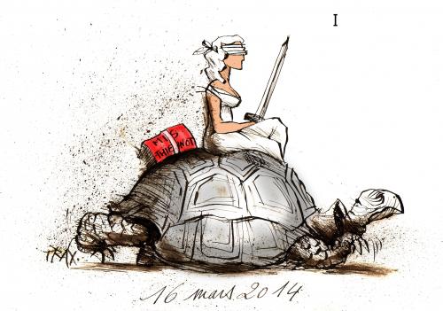Mis et Thiennot  Justice tortue erreur judiciaire Cour de Cassation