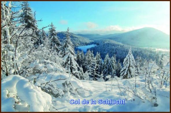 ╰⊱♥⊱╮ღ꧁ Département 88  ꧂ღ╭⊱♥≺