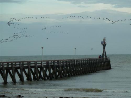 La randonnée du 9 octobre à Courseulles-sur-mer