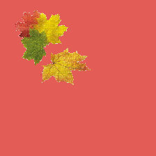 La balade du 12 novembre à May-sur-Orne