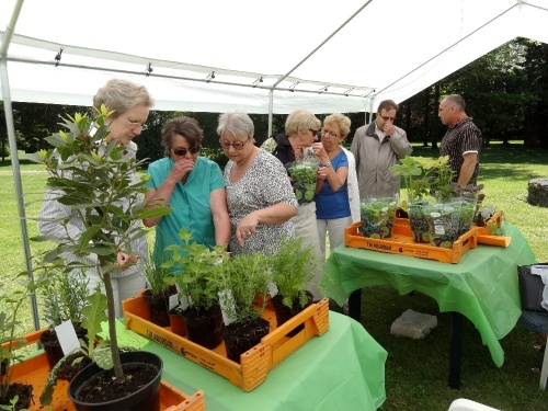 Exposition-Vente de plantes aromatiques  au Château de Montigny sur Aube...