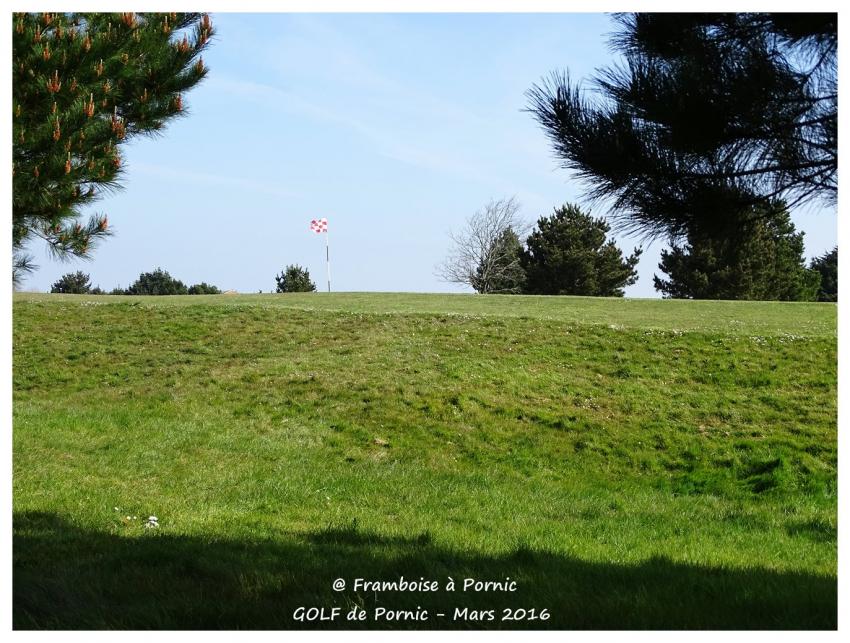 Golf de Pornic - Printemps 2016