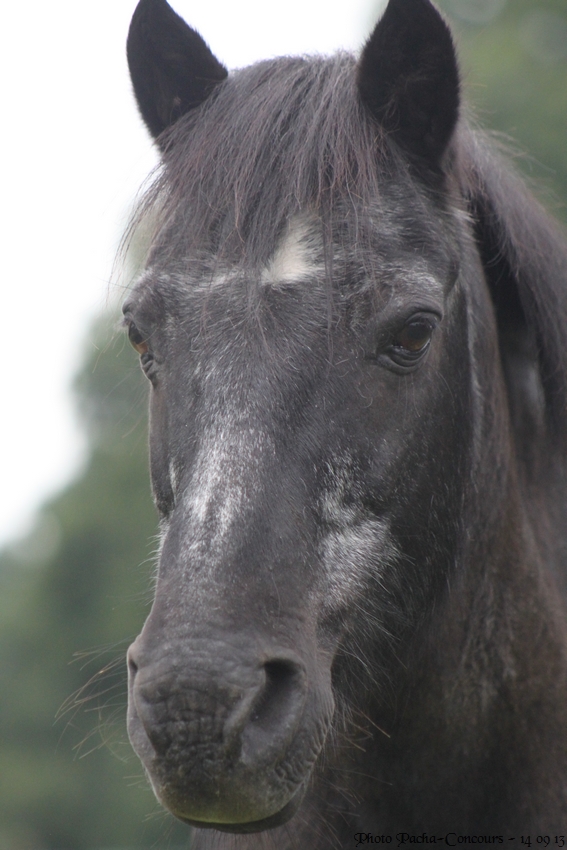 doudou & black 14/09/13