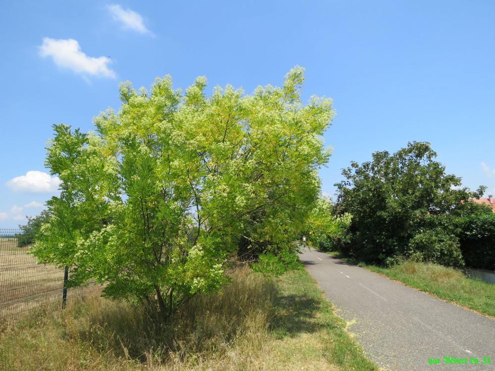 Balade à vélo au départ de Fessenheim
