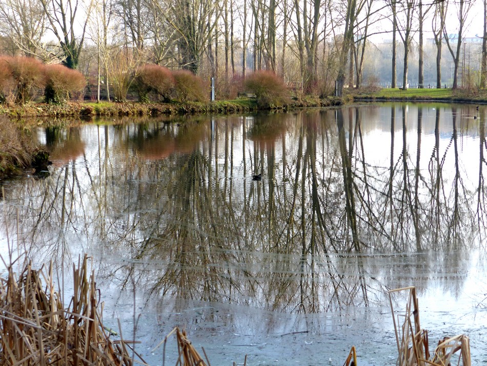 Entre deux tempêtes ... 