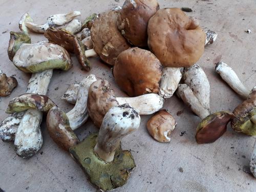 Samedi d'Octobre au marché