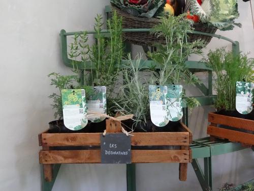 La fête des jardins au château de Montigny sur Aube...