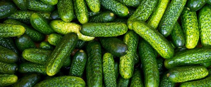 Légumes du mois de Juillet