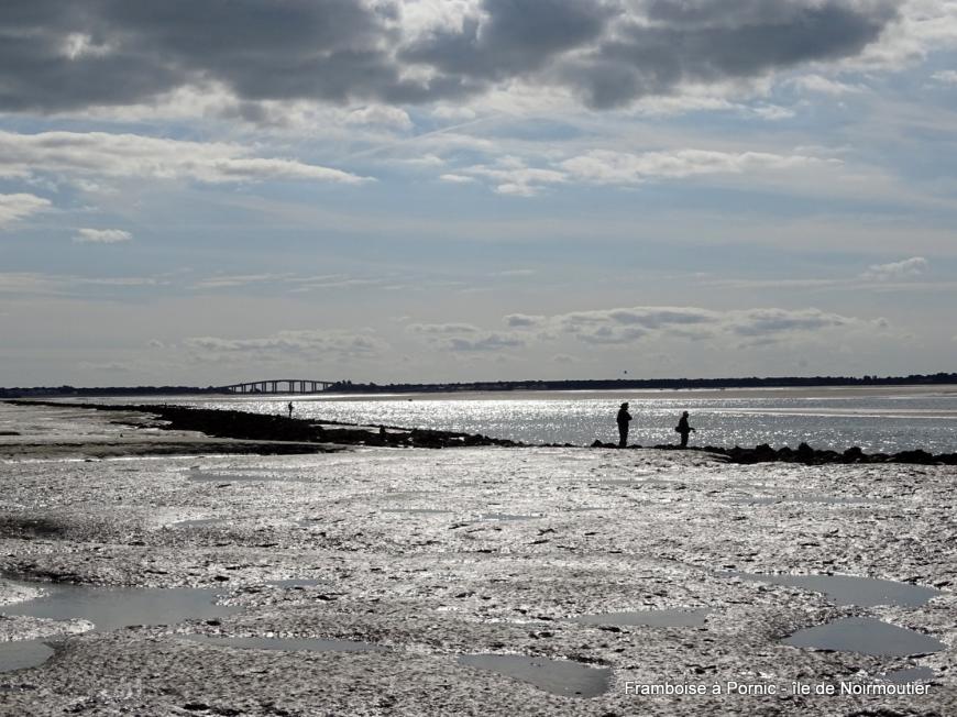 Restaurant Fleur de Sel à Noirmoutier