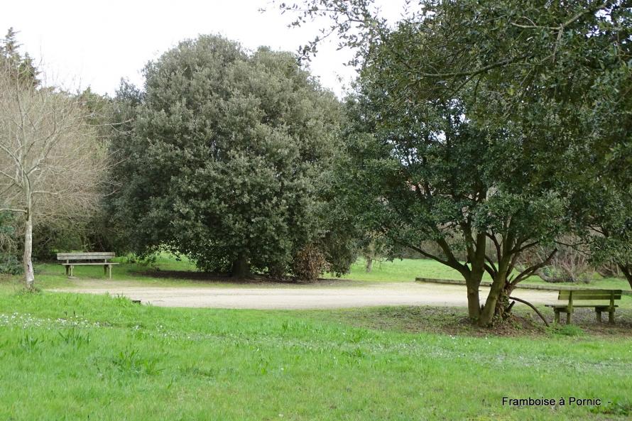 Bernerie en retz - Parc des roches dorées - 2020