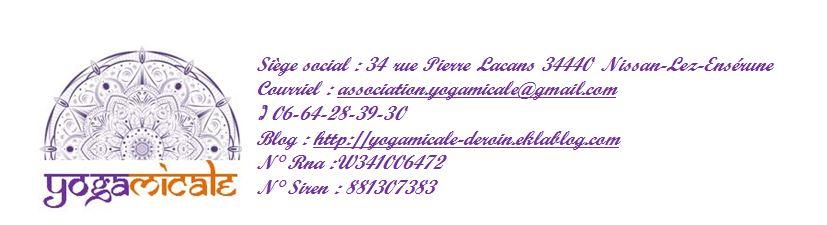 Accueil