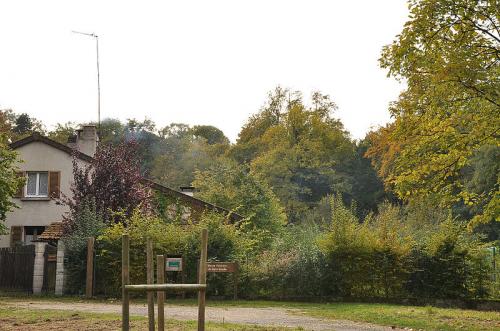 Bois de Saint Cucufa  (Hauts de Seine)