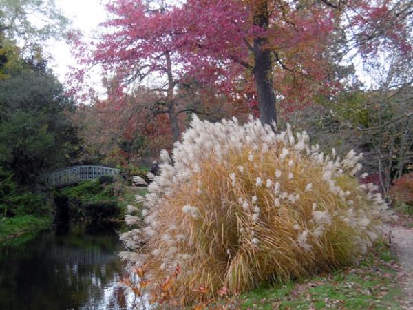 L'arboretum de la Vallée aux Loups à Chatenay-Malabry