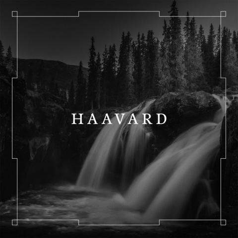 HAAVARD - Un nouvel extrait du premier album dévoilé