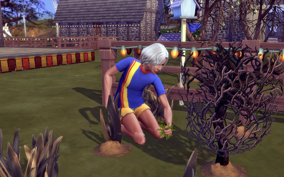 [CALF] Huver 3 - Semaine 15 - Jours 104 à 107