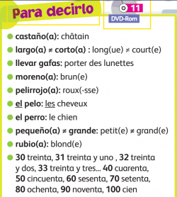 La familia de Laura p19 - en construction