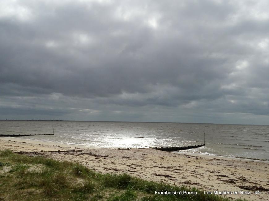 Petite balade sur le littoral aux Moutiers en retz 