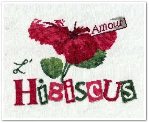 L'hibiscus de Lili Points - 6