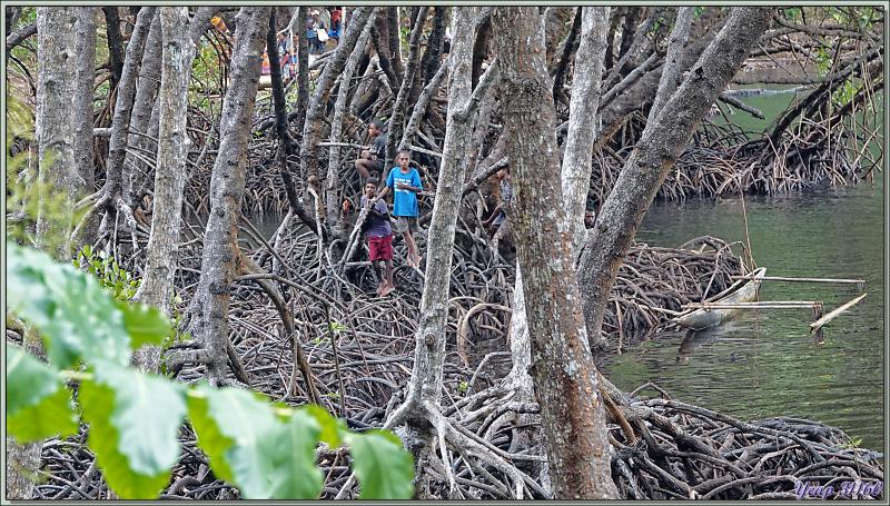 Le débarquement a eu lieu avec des images très colorées en pré-spectacle Sing Sing, qui sera peut-être le plus beau de tous - Tufi - Maclaren Harbour - Province d'Oro - Papouasie Nouvelle-Guinée