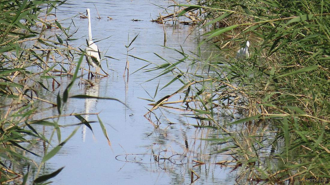 le parc naturel de l'Ebre