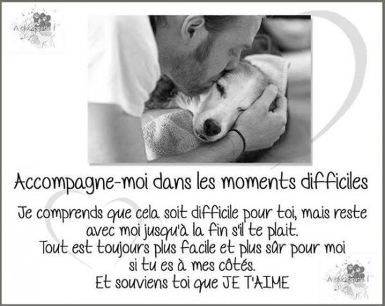 Mon Adoration