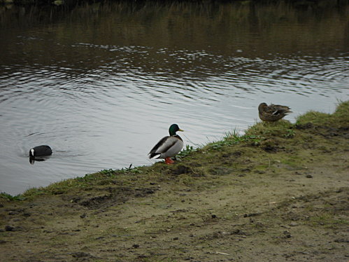 DSCN0083.JPG