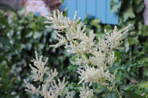 Chambre d'ôtes "Haut-Jardin" à Vignoux-sous-les-Aix