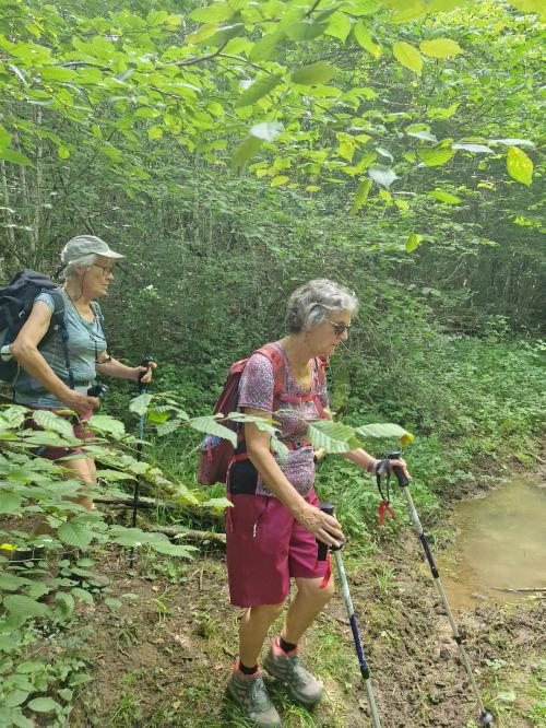 "Le long du Ru Blanc" - Mercredi 17 juillet 2024