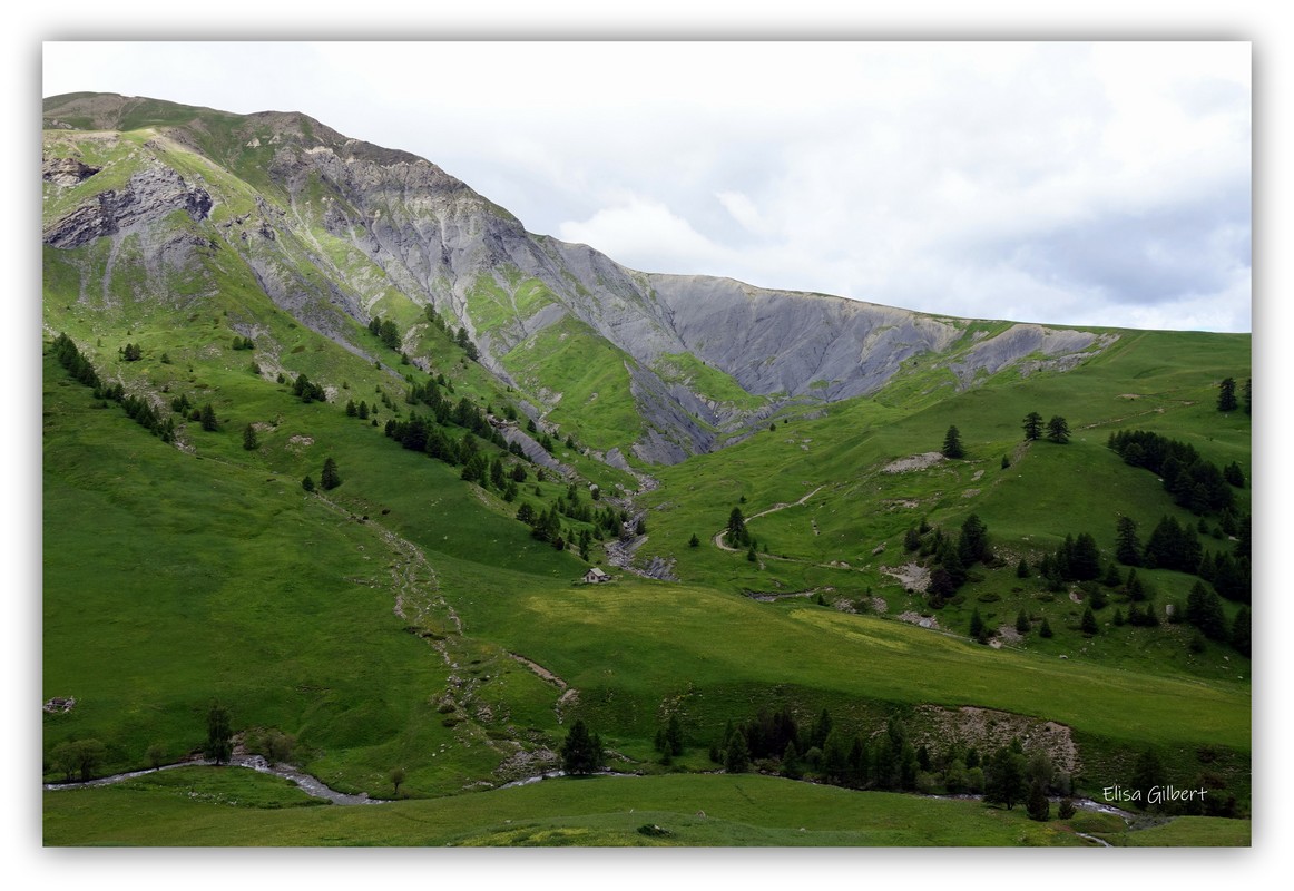 Montée à la Bonette 1#2
