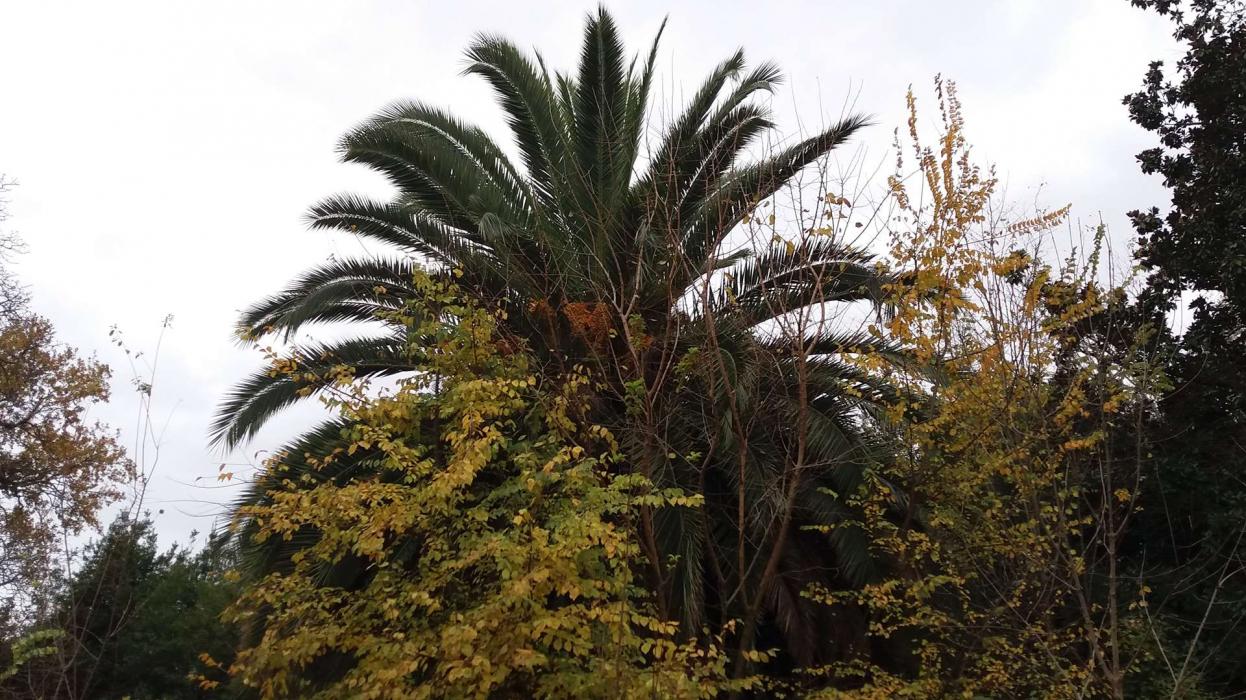 Château fut un espoir hotelier