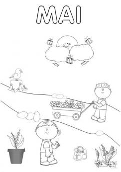 Mai