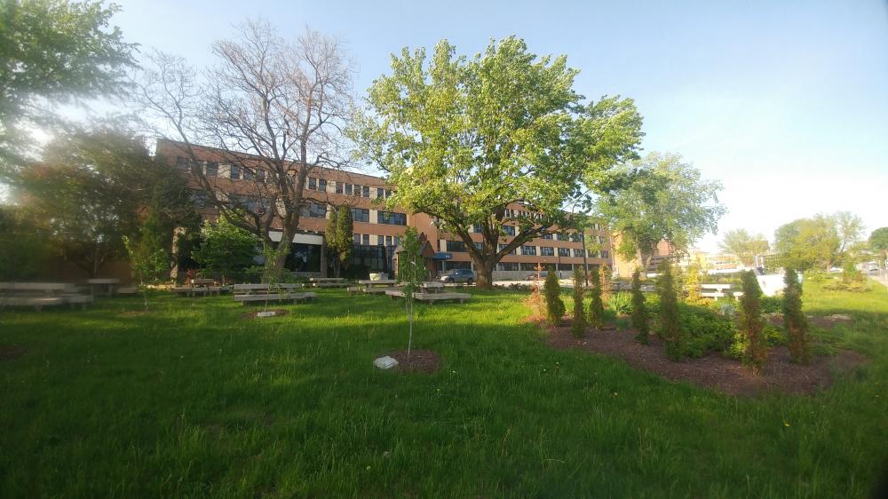 Jardin Pédagogique du Collège Nouvelles Frontières au printemps, le 20 mai 2022
