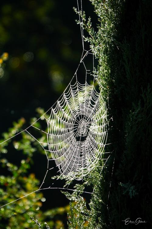 Octobre gris