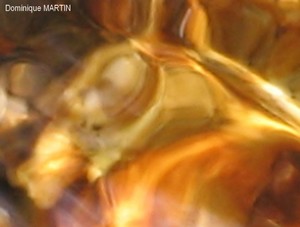 LES EMANANTS ANIMAUX 2