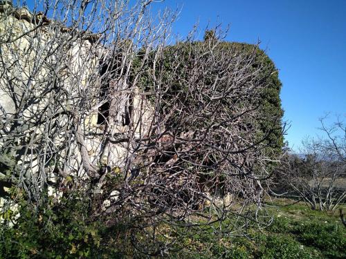 Maison abandonnée au pied de la colline, Les Alpilles