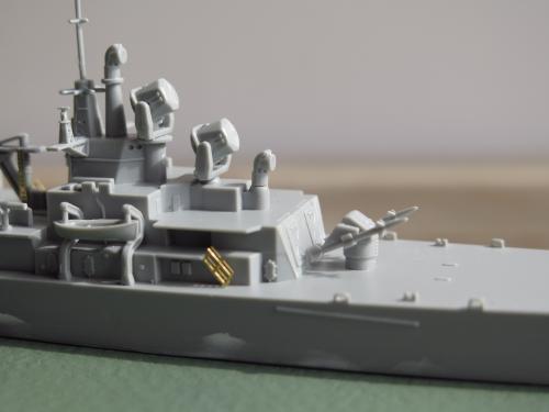 Blue-water navy and brown-water navy