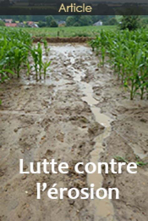 Lutte contre l'érosion : quelques points clés