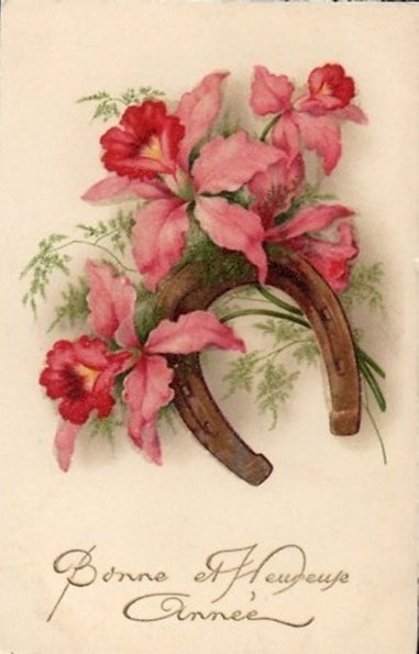 Image003.jpg