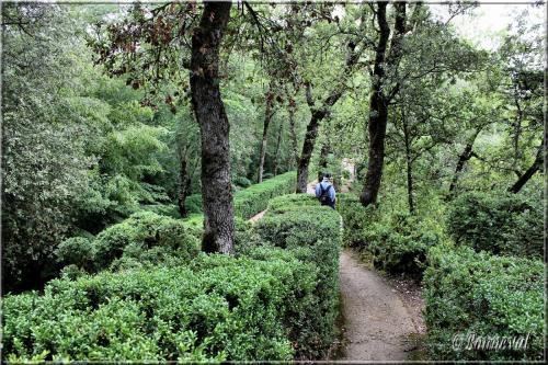 Les Jardins Suspendus de Marqueyssac Dordogne vers le Belvédère