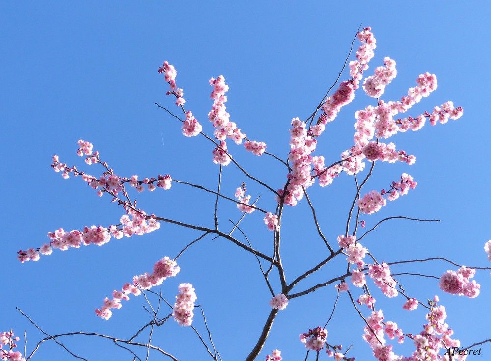 Deux heures avant le confinement
