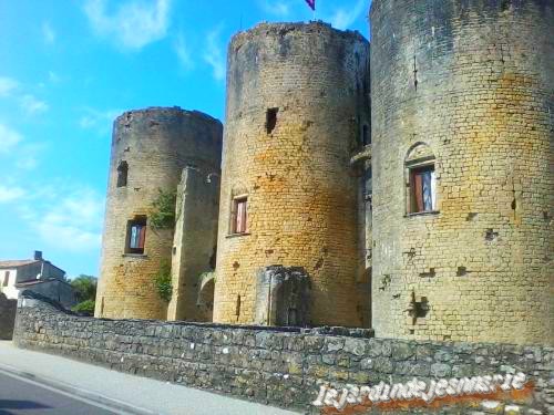 suite du château du pape Clement V a Villandraut (Gironde)