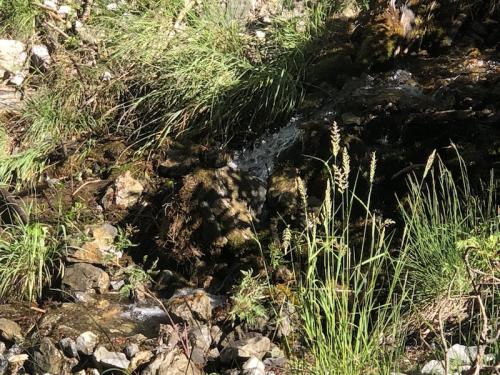 La Chau (Seyne - Montclar)