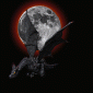 Gif_021.gif
