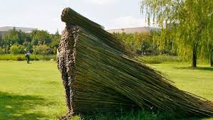 Olga Ziemska, l'art de la terre